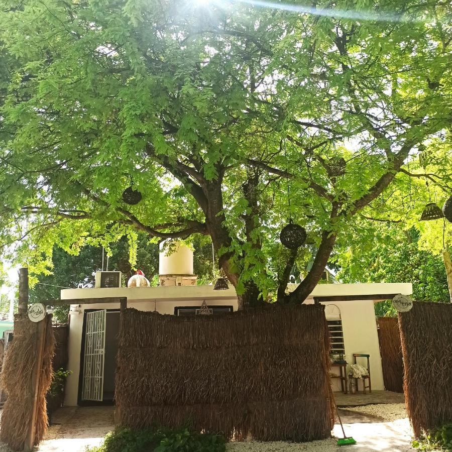 Casa Arte Bacalar Διαμέρισμα Εξωτερικό φωτογραφία